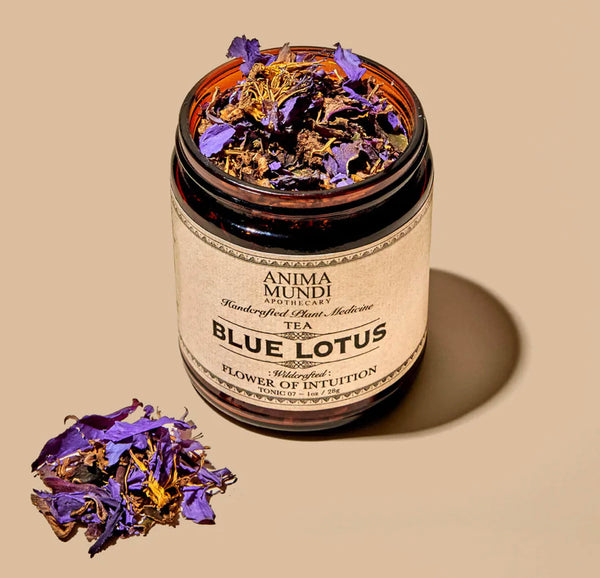 Blue Lotus Wildcrafted