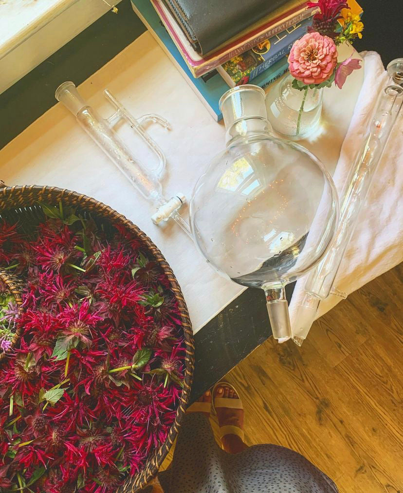 WILD NECTAR Bee Balm Hydrosol