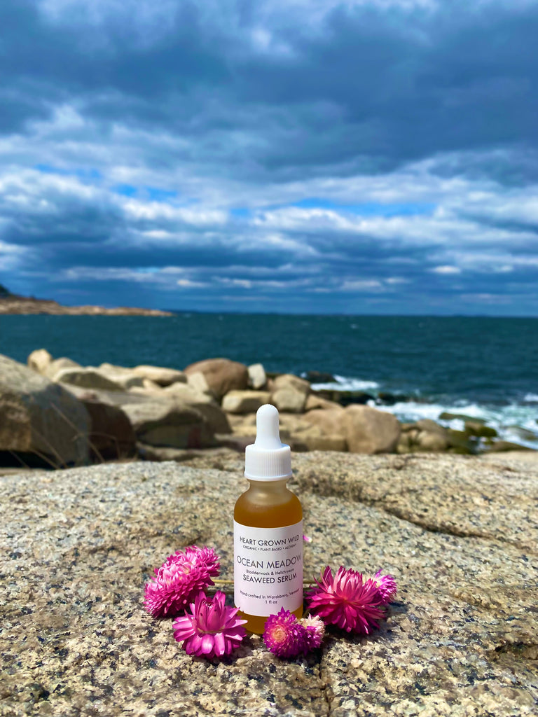 Ocean Meadow Seaweed Serum